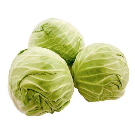 450645 (Green Cabbage)