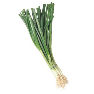 450647 (Green Onion)