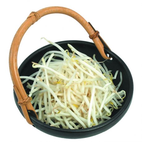 450908 (Bean Sprouts)
