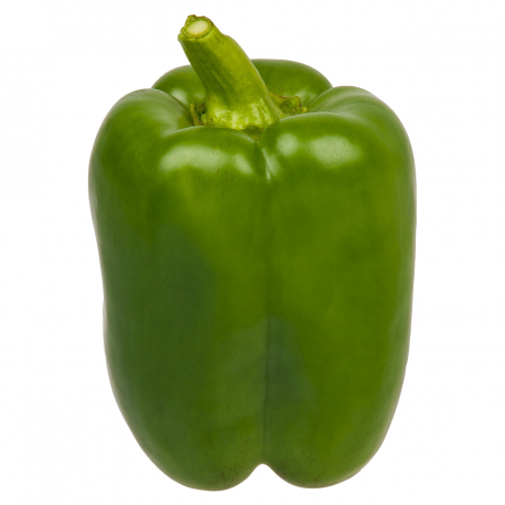 451617 (Green Bell Pepper)