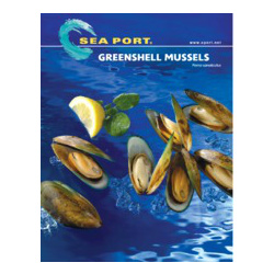 Westpac Mussel Half Shell: Green